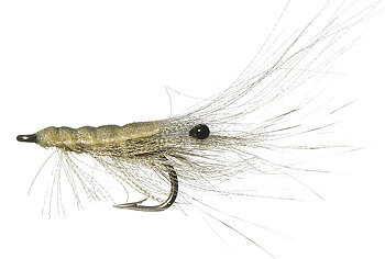 Organza Shrimp White