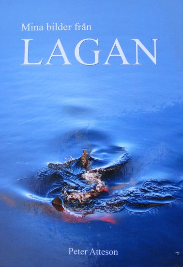 Mina bilder från Lagan