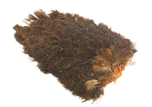 Whiting Coq De Leon Hen Saddle - 3