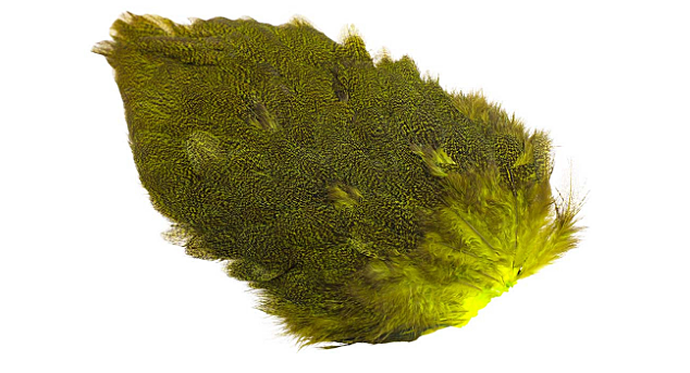 Whiting Coq De Leon Hen Saddle - 4