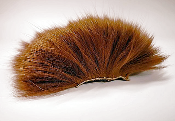 Fox Body Hair