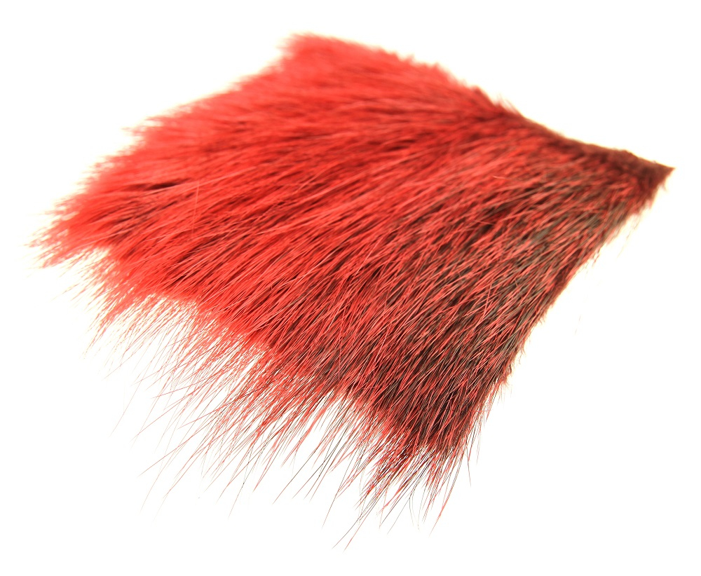 Futurefly Nutria - 5