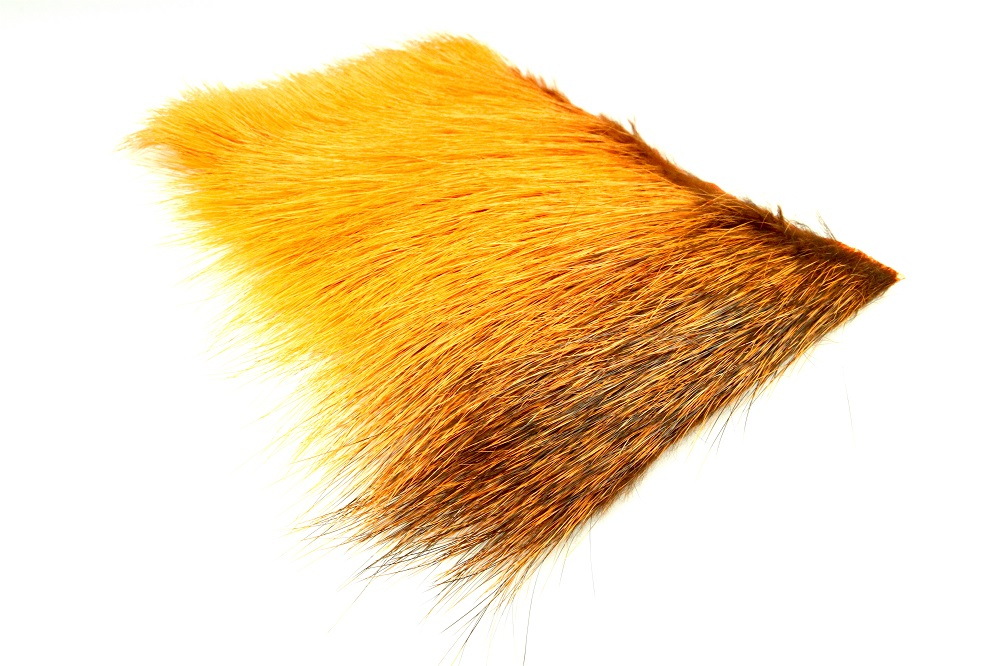 Futurefly Nutria - 3