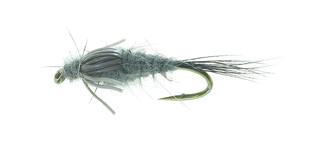 A.P. Muskrat