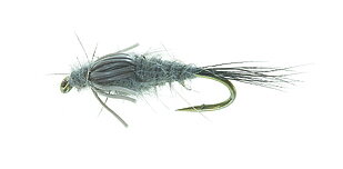 A.P. Muskrat