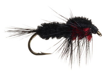 Montana Nymph Black/Red
