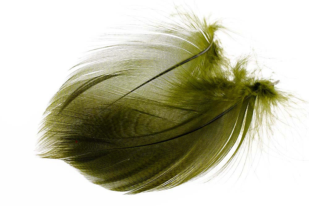 Mallard Barred Flank Select - Large - 6