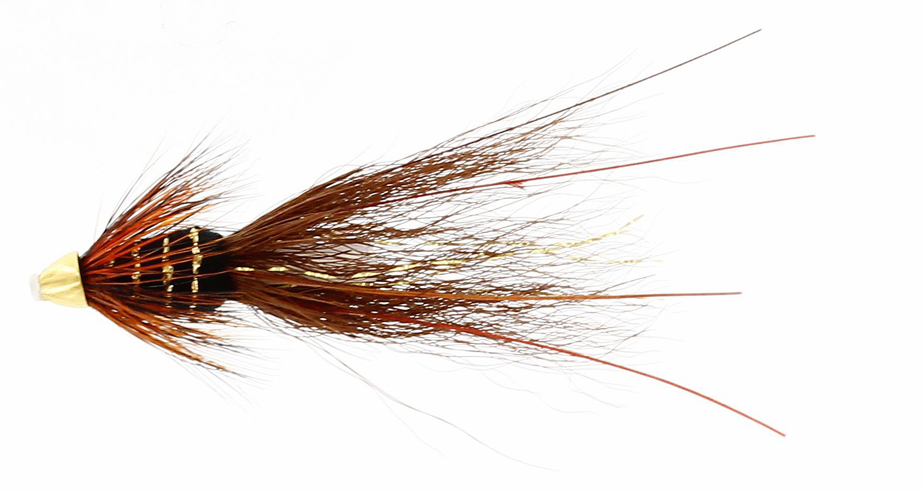 Franc N Snelda Phatagorva Tube ½"