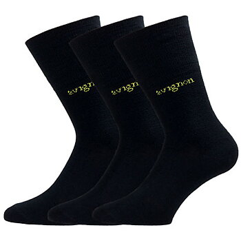 Avignon Liner Merinoull 3-pack