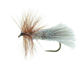 G&H Sedge Brown