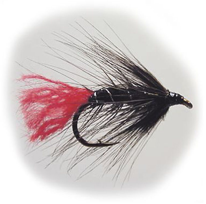 W - Black Zulu #12