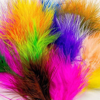Wittmore Marabou