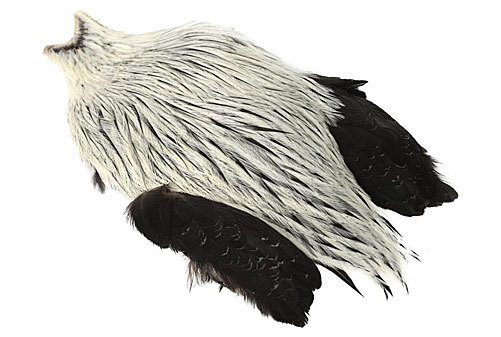 Whiting Freshwater Streamer Cape - 8