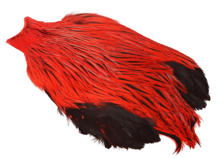 Whiting Freshwater Streamer Cape - 2