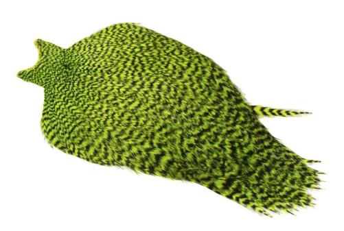 Whiting Freshwater Streamer Cape - 5