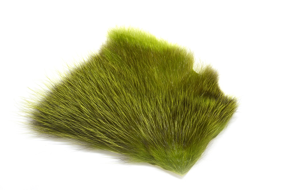 Futurefly American Opossum - 27