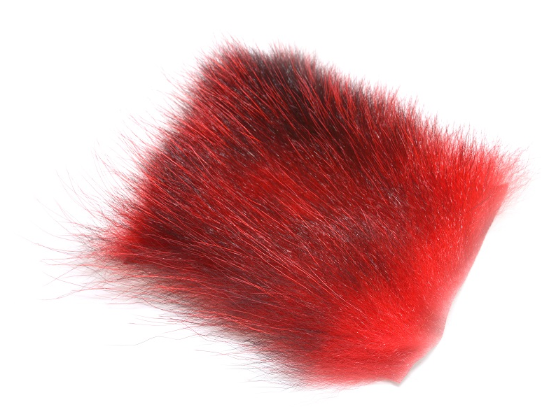 Futurefly American Opossum - 6