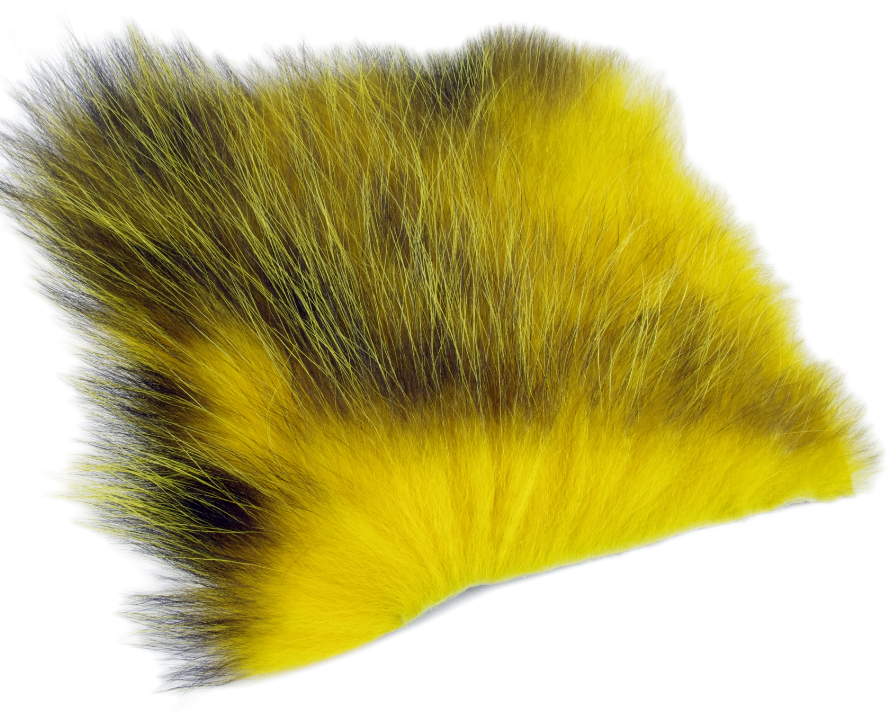 Futurefly American Opossum - 5