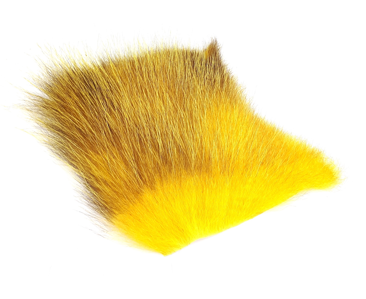 Futurefly American Opossum - 23