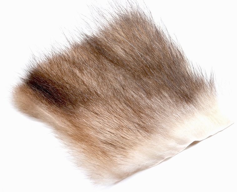 Futurefly American Opossum - 8
