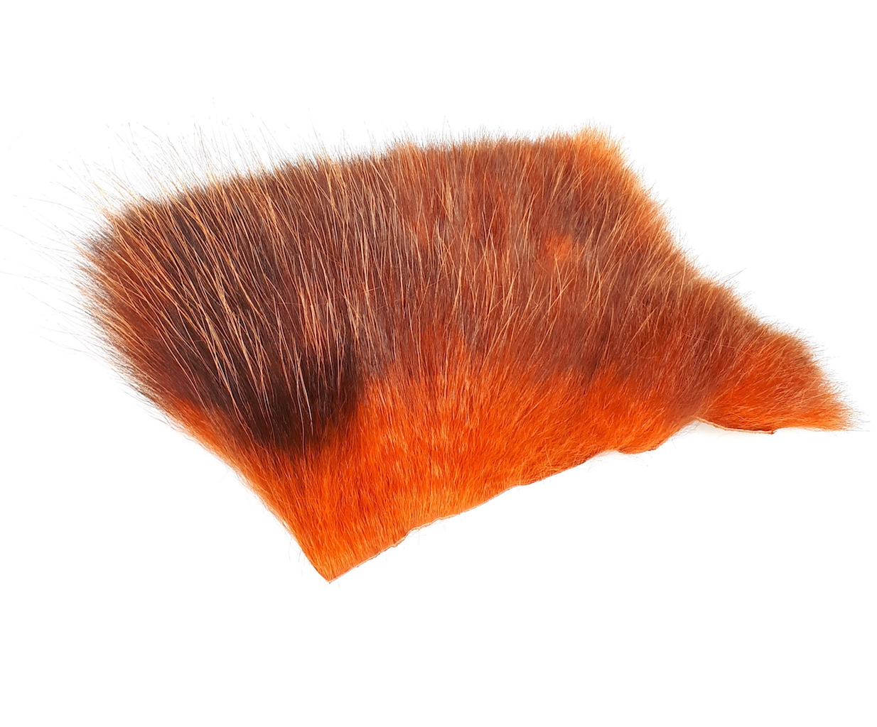 Futurefly American Opossum - 21