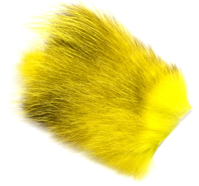 Futurefly American Opossum - 3