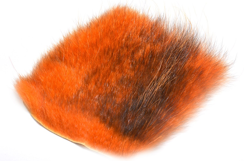 Futurefly American Opossum - 11