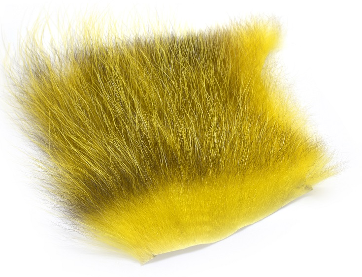 Futurefly American Opossum - 13