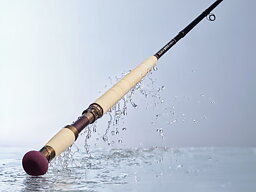 Salar Rods