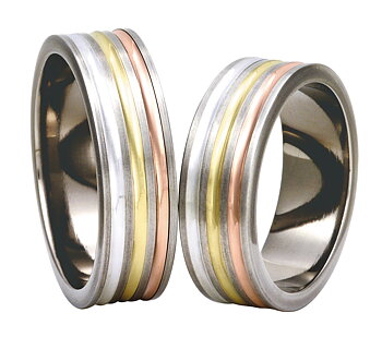 Titanring+Guld+Silver TG84-7