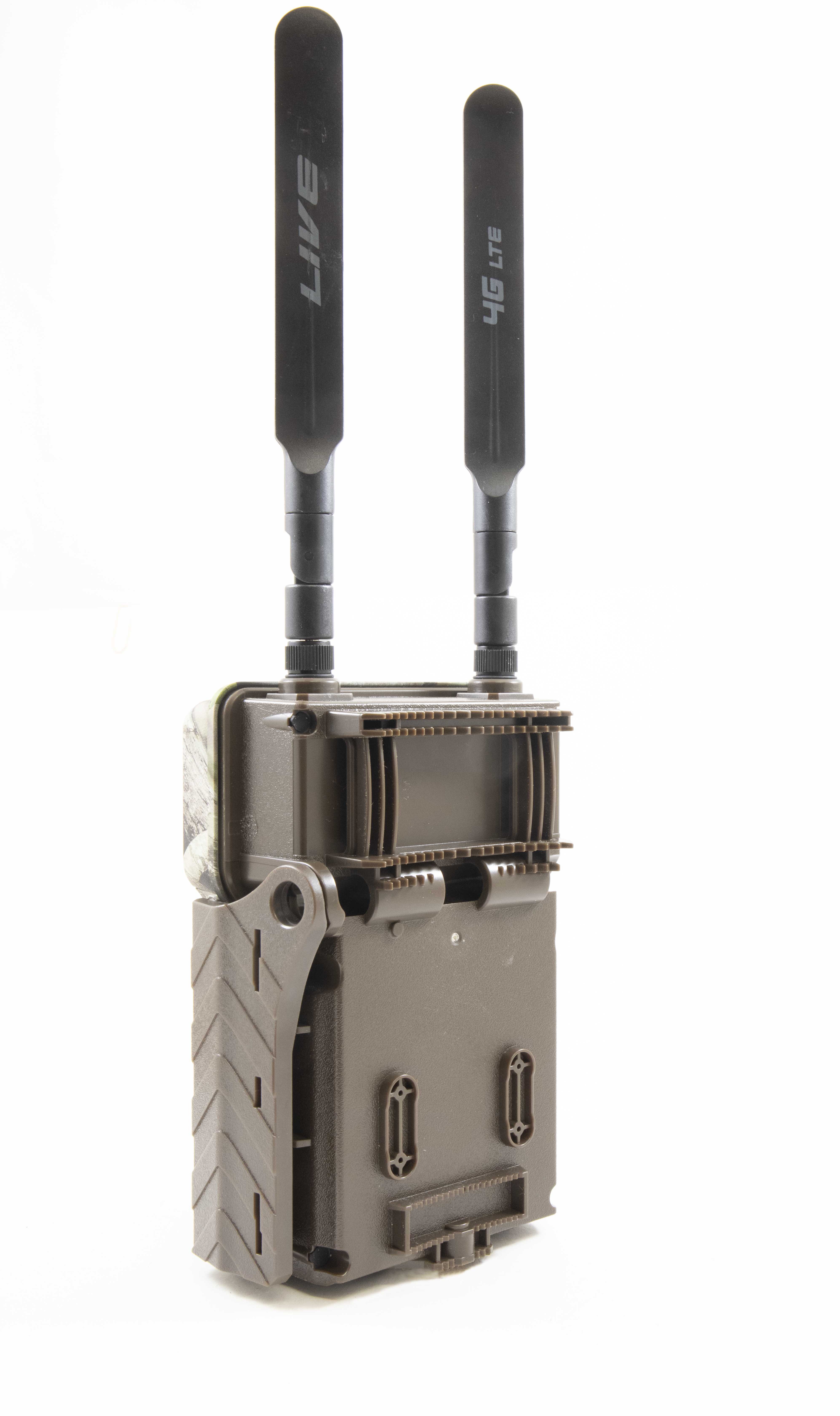 Elizabet bilan jinsiy aloqa Yetuk lezbiyenlar