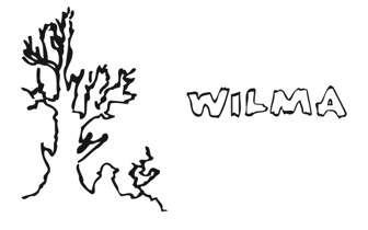 Wilma