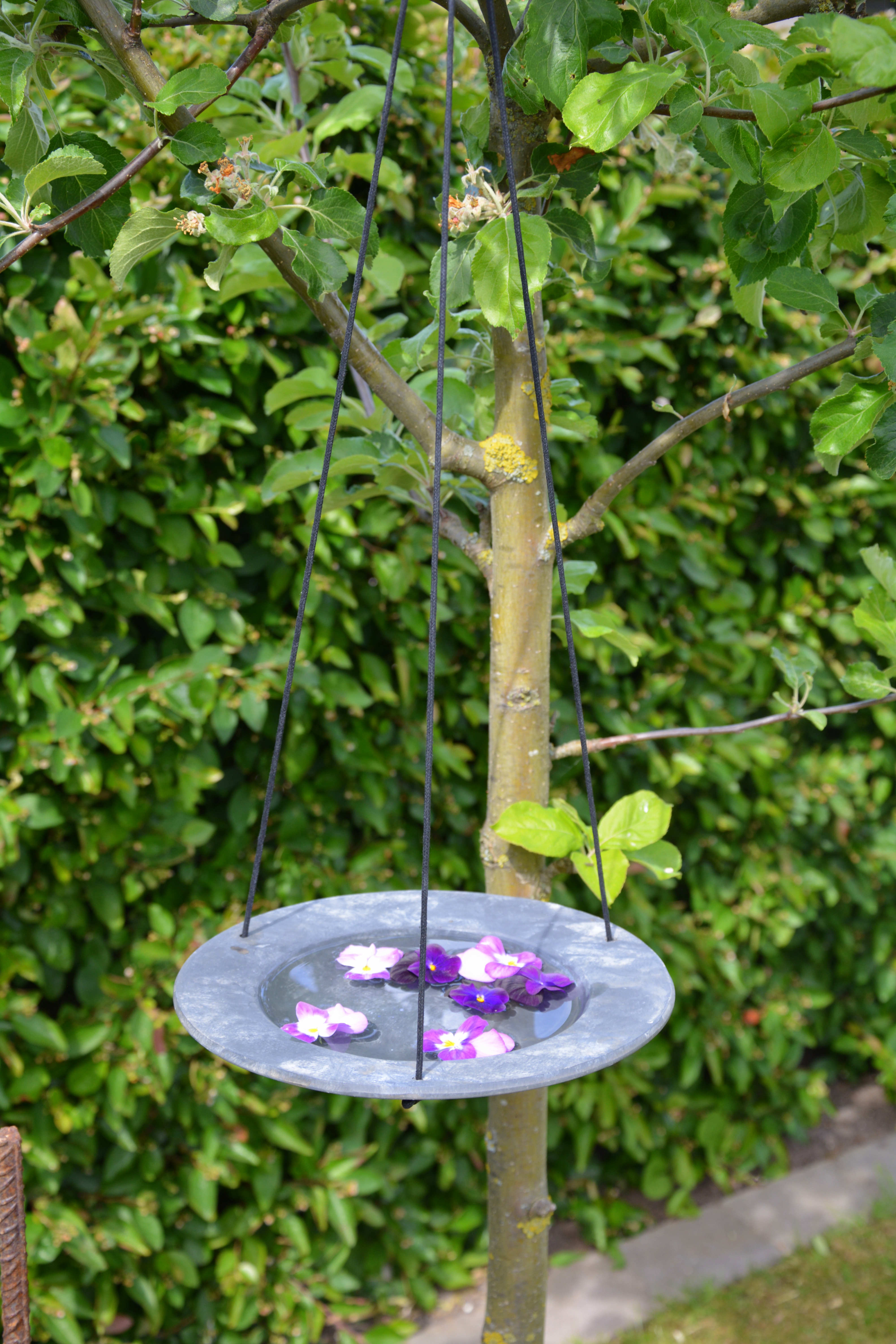 Fågelbad hängande 22cm  - 5