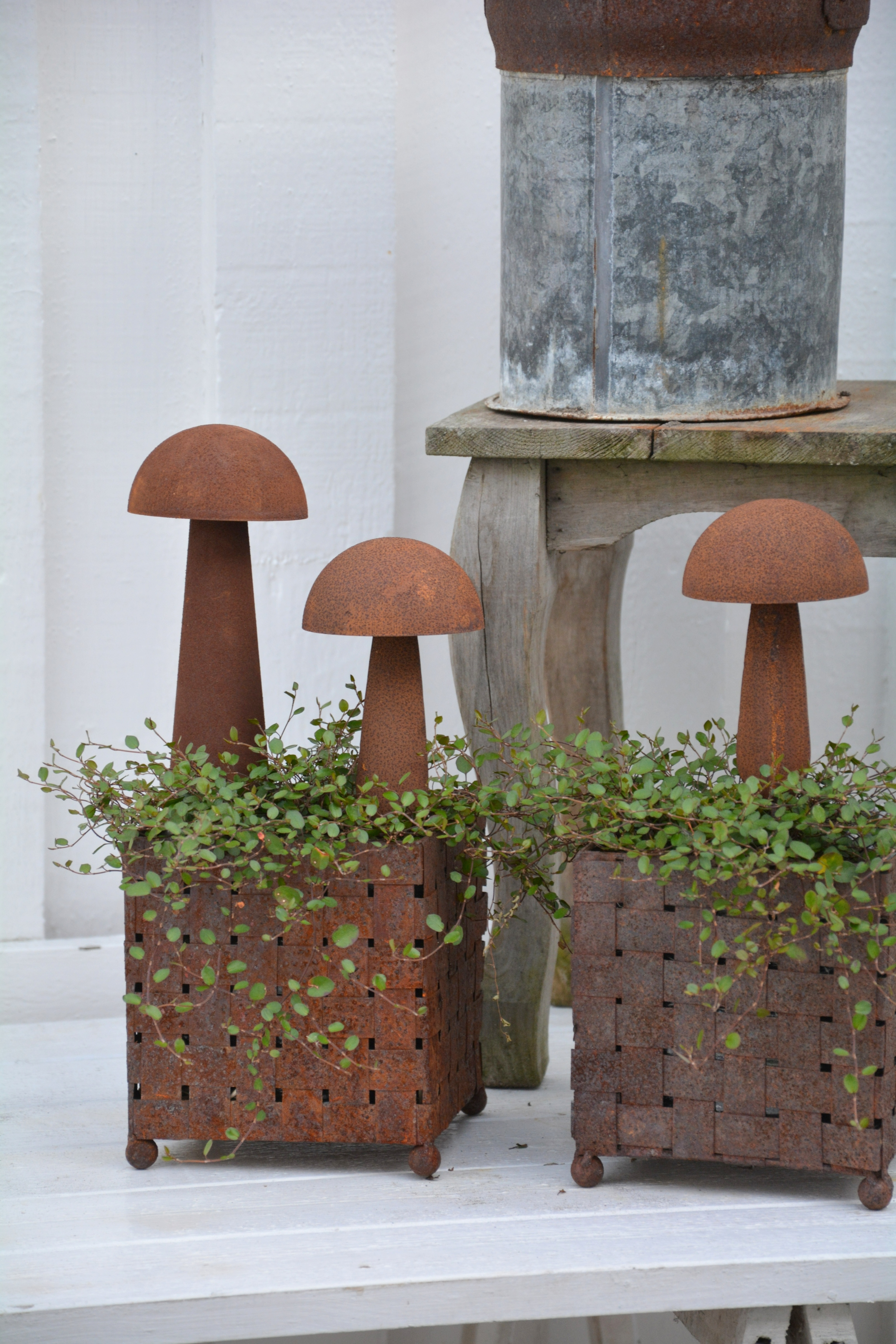 Rostig svamp på pinne liten 14 / 24 cm