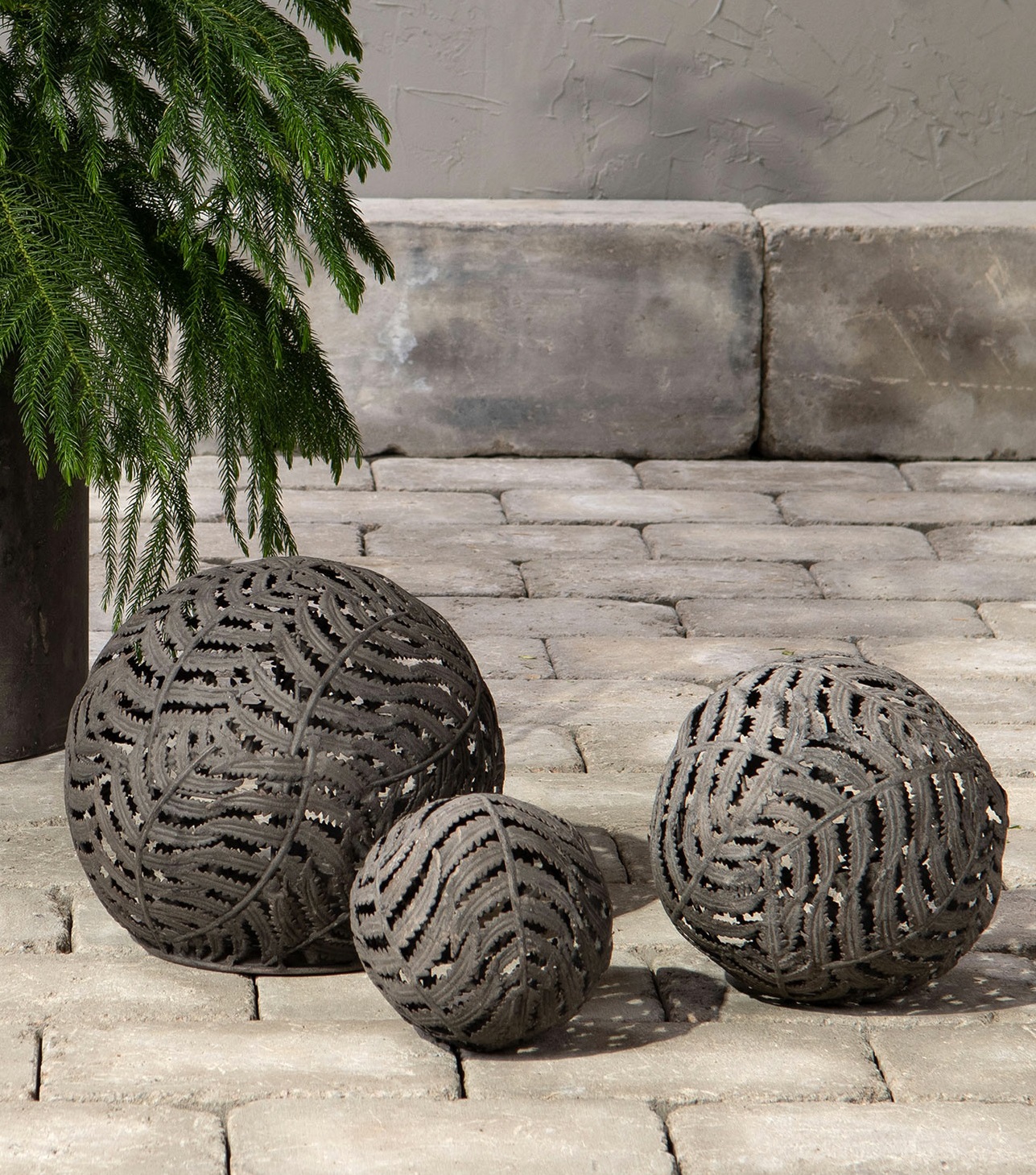 Klot ormbunke 18 cm - 4