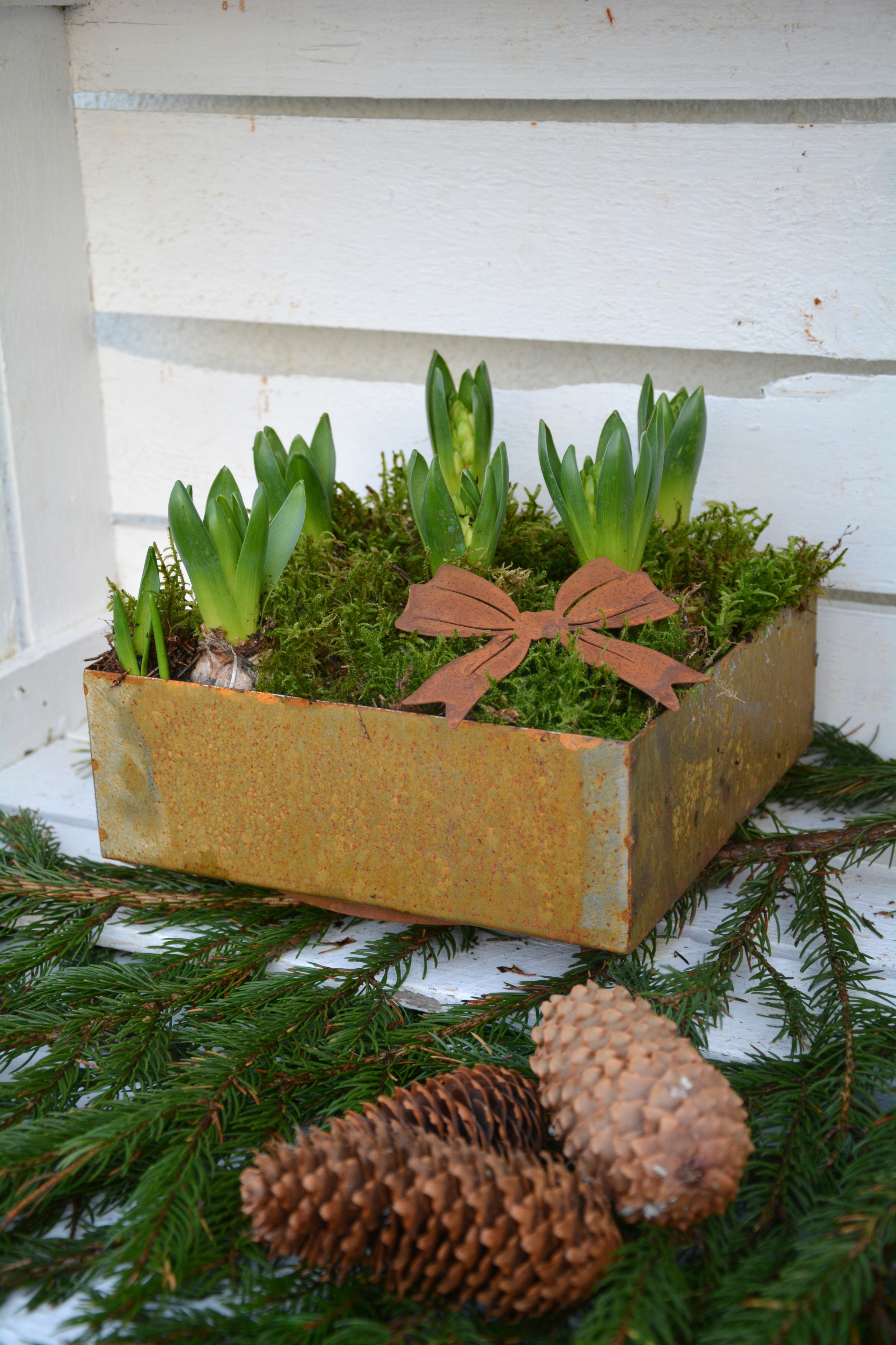 Kruka kvadrat i plåt 22,5 cm L