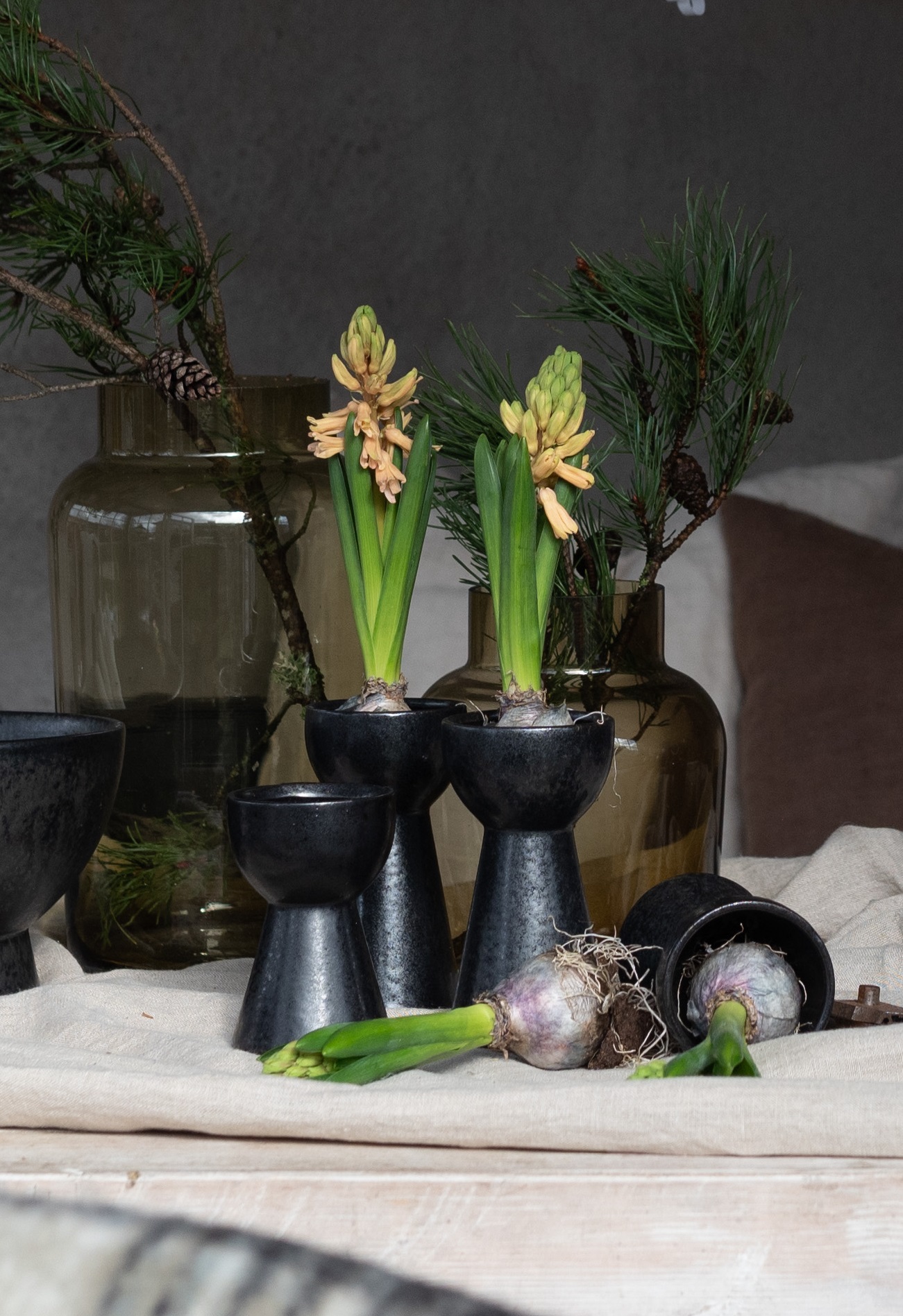 Hyacintvas svart liten 12 cm - 3