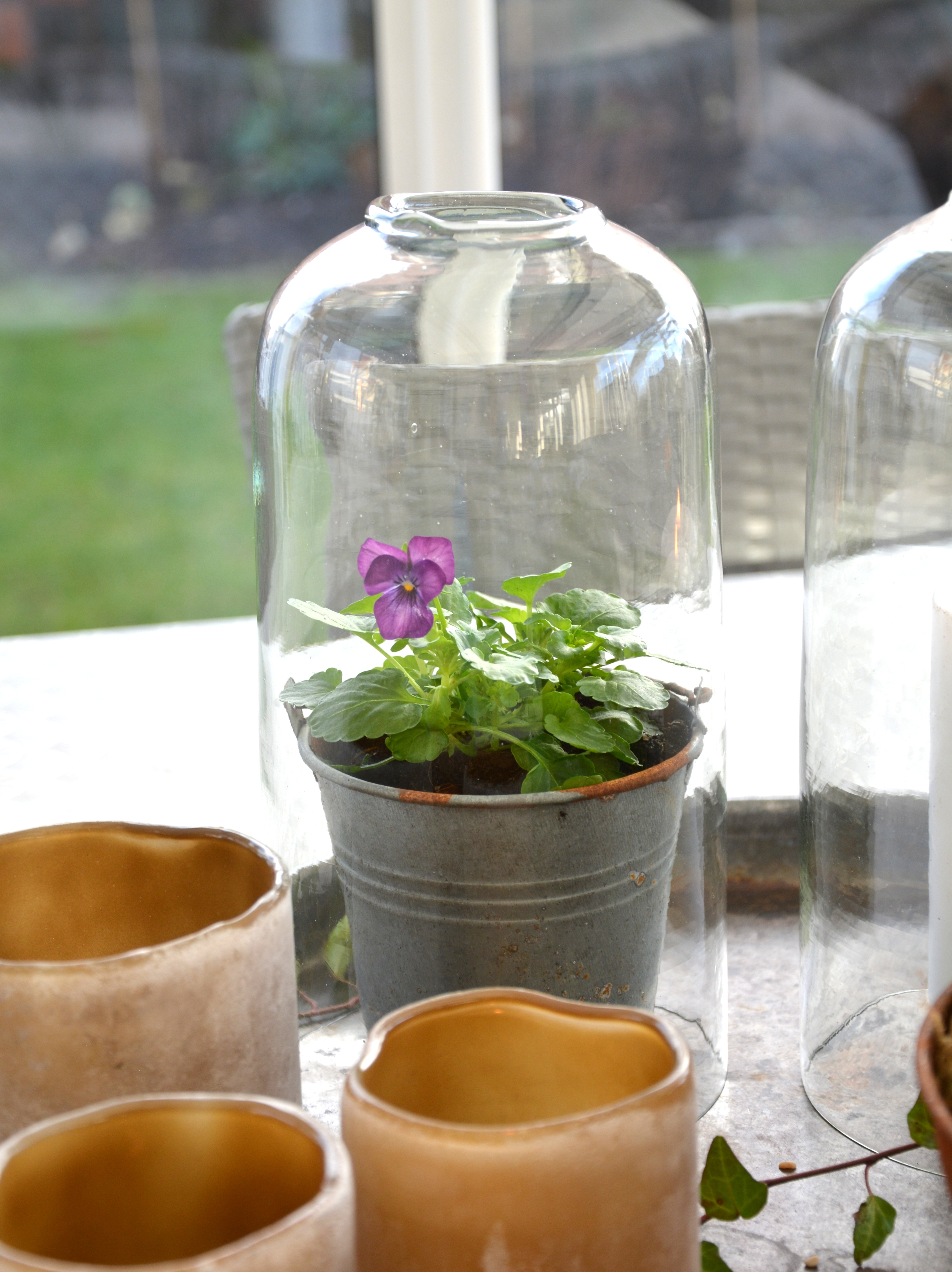 Glaskupa med öppning 20 cm 