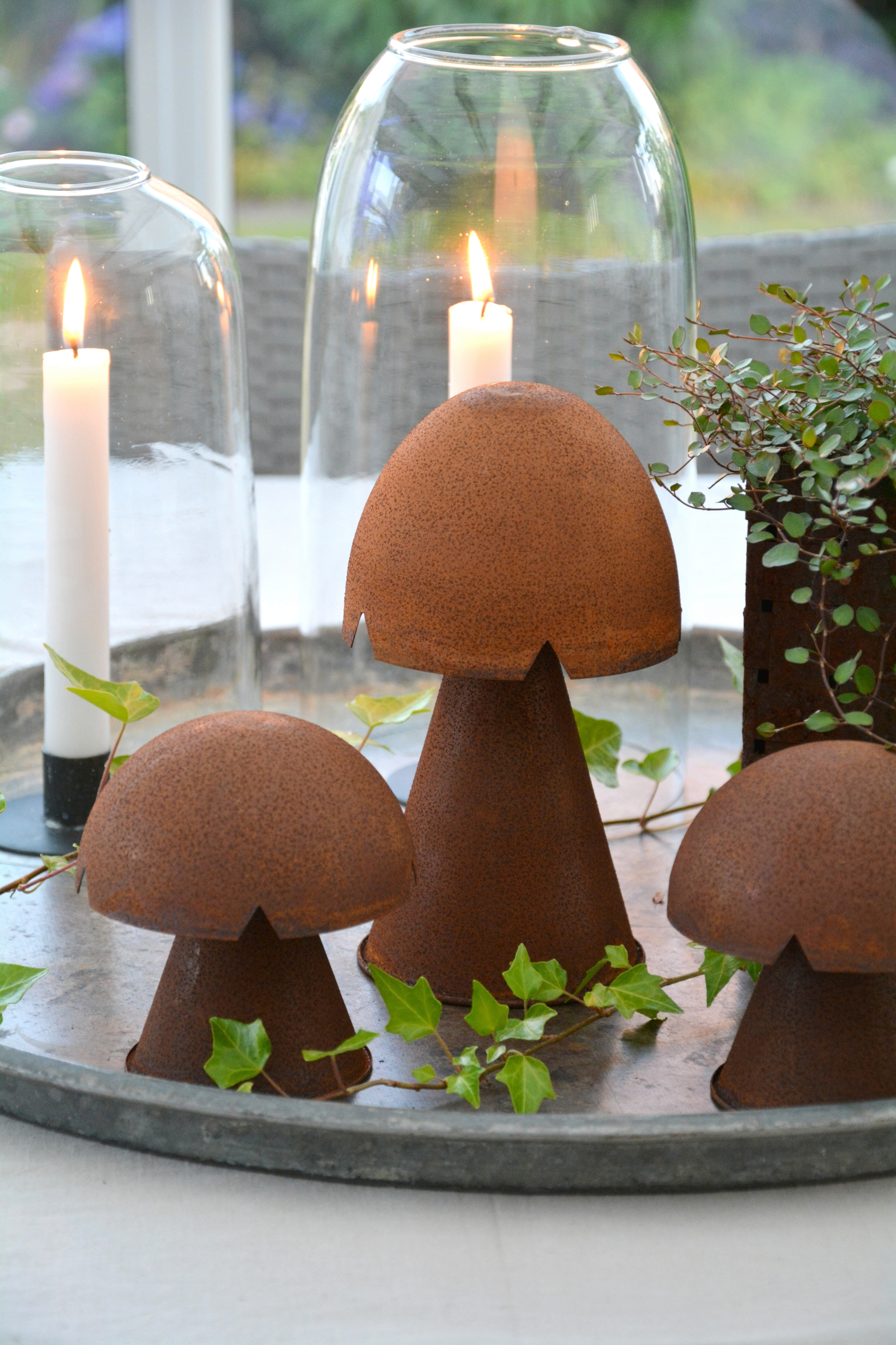 Rostig svamp Johan stående stor 20 cm