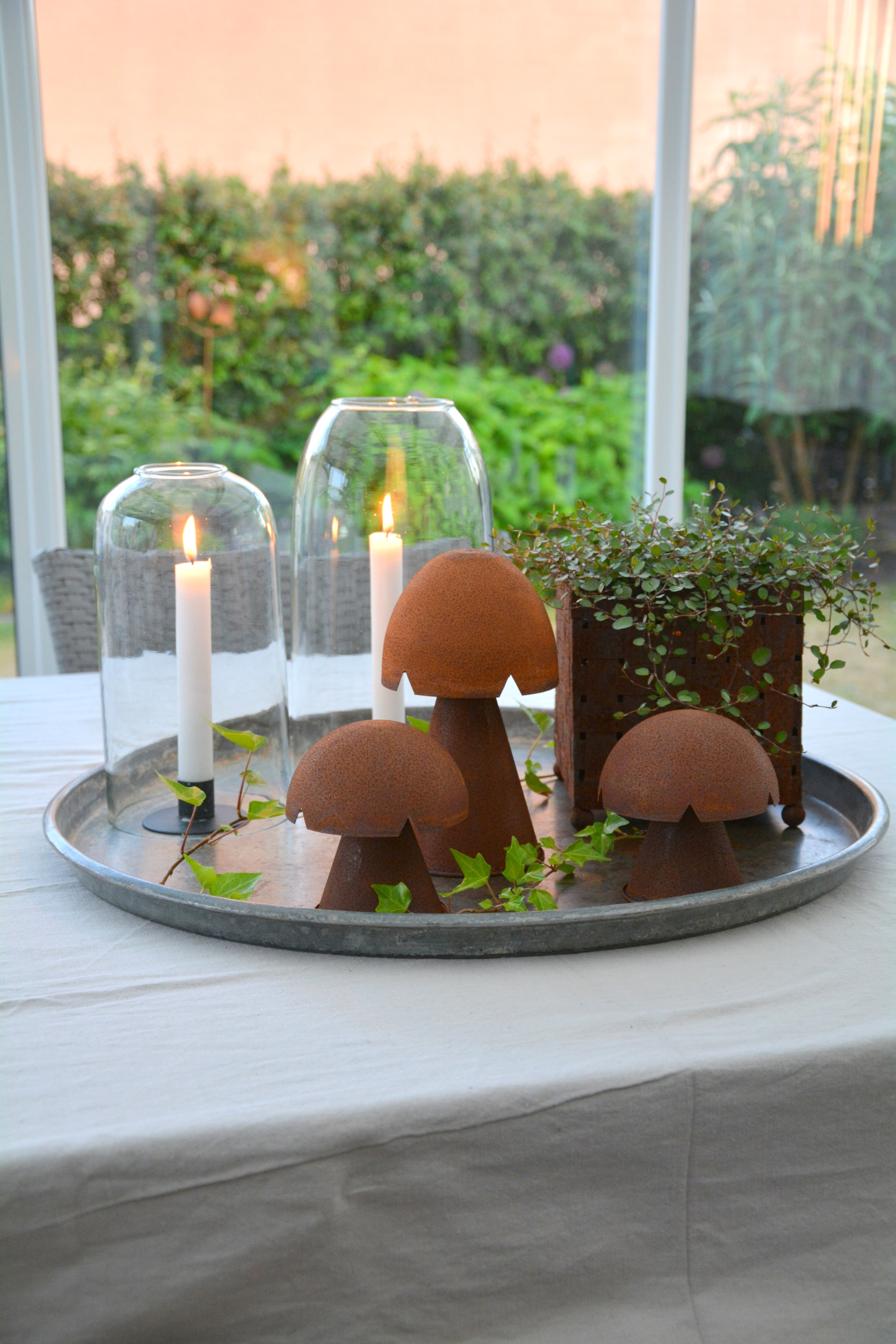 Rostig svamp Johan stående mellan 11 cm