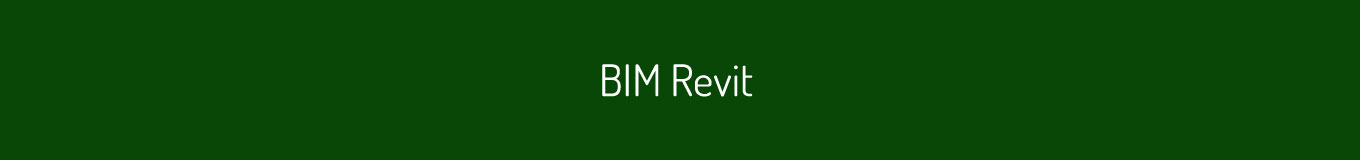 BIM Revit