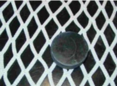 Replacement Net RinkRat