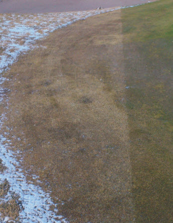 GreenJacket vinterduk inkl installationsmaterial - 2