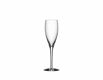ORREFORS More Champagne 4-pack