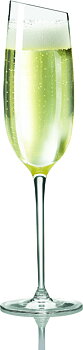 EVA SOLO Champagneglas
