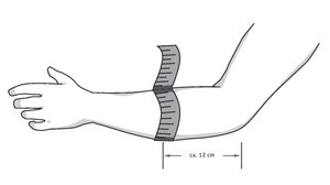EpiTrain® - 2