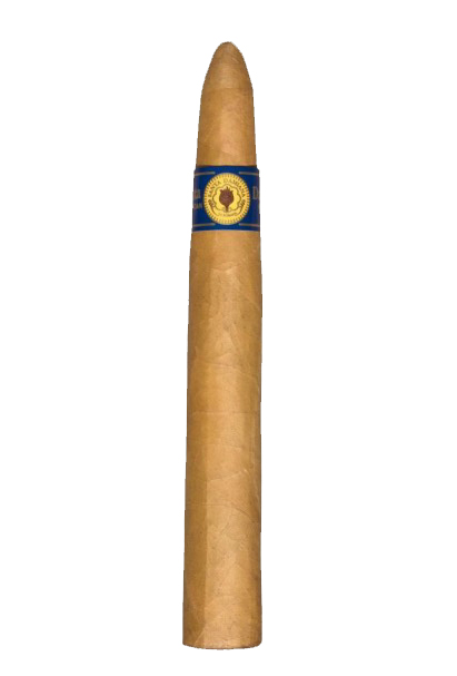 Santa Damiana Torpedo