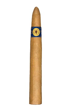 Santa Damiana Torpedo