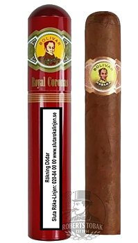 Bolivar Royal Coronas Tubos