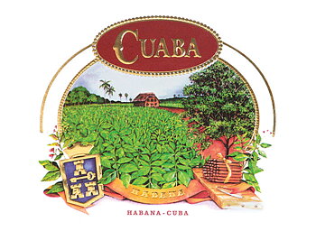 Cuaba Tradicionales Låda 25 st